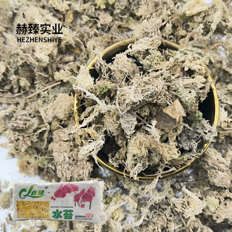 Sphagnum moss for plant cultivation soil improvement increased air permeability glass landscape