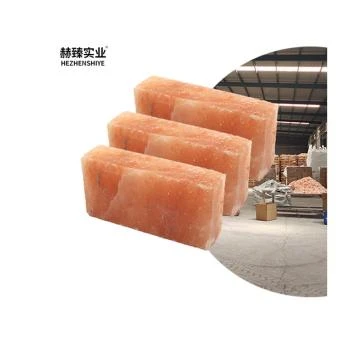 Himalayan Salt Blocks: The Best Deal for Health and Home