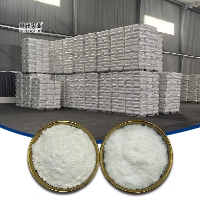 The Multifaceted World of Silicon Dioxide