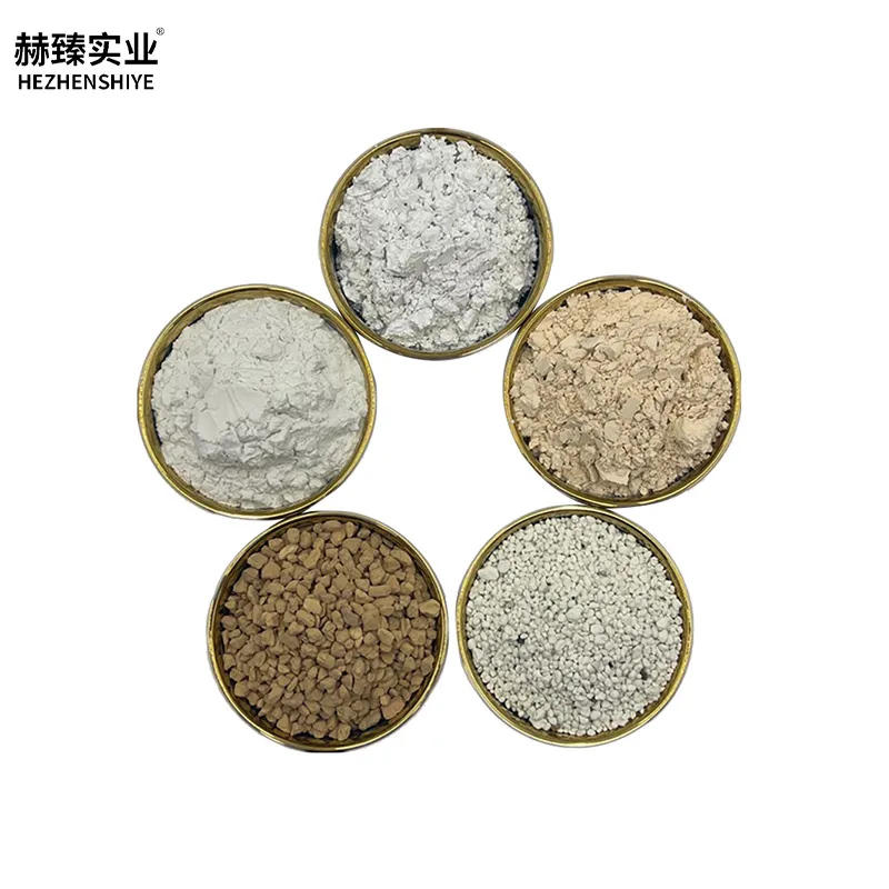 Diatomaceous and Its Versatile Variants: From Industrial Use to Daily Applications