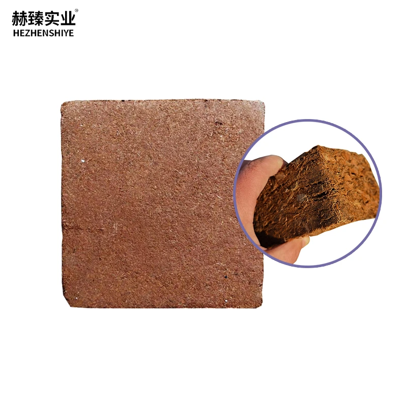 High Quality Coconut Coir Bricks for Commercial Greenhouse Farming Enhance Plant Growth and Yield