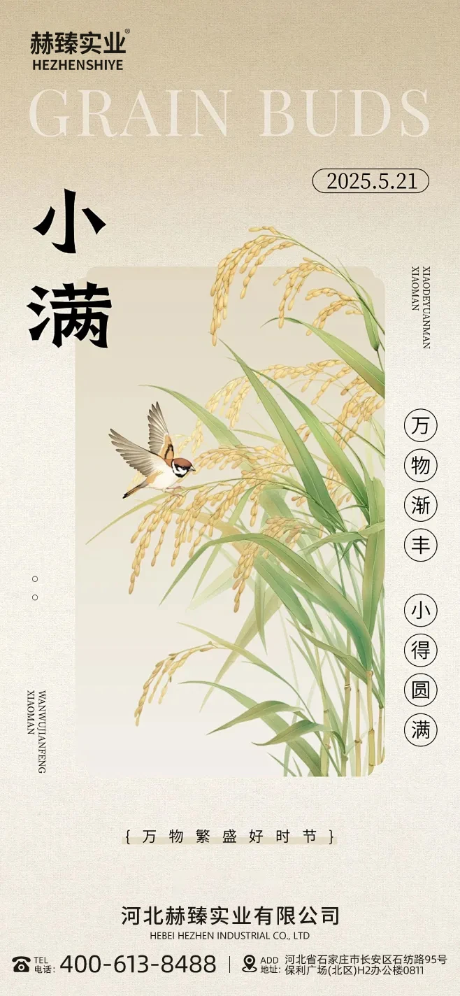 Xiaoman Where Humidity Meets Harvest Hope Guide to Summer's Gentle Abundance